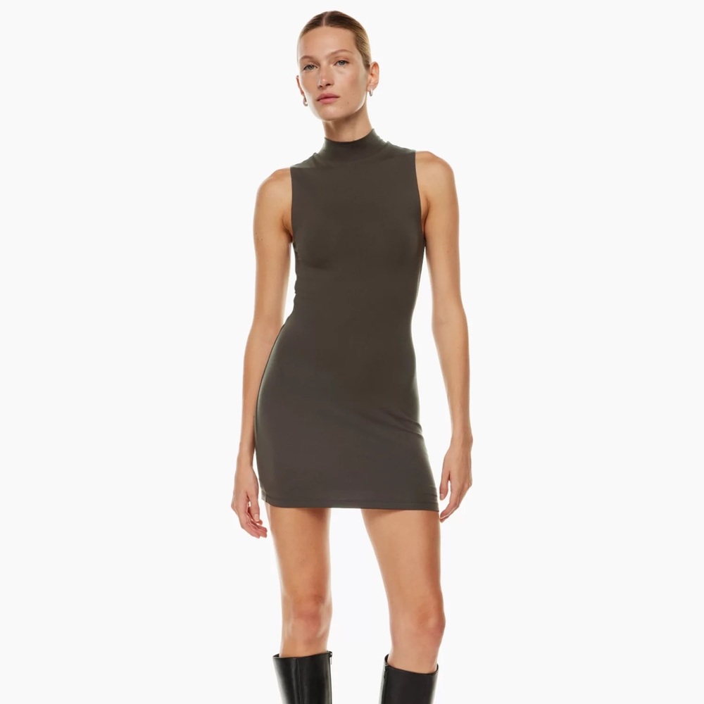 Aritzia Babaton Contour Mockneck Mini Dress